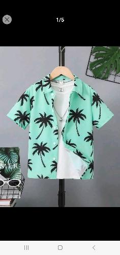 Camisa de verano